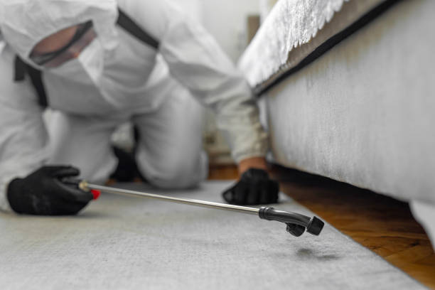 Professional Ant Control technician working in Justin, TX