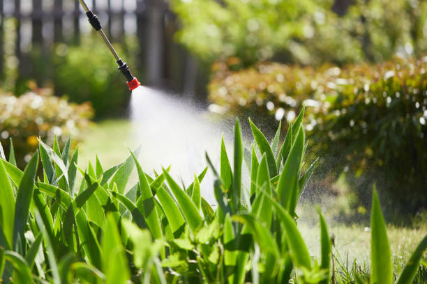 24/7 Emergency Ant Control experts in Justin, TX