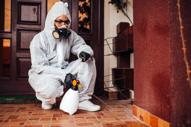 Reliable Ant Control contractor in Justin, TX by Nex Pest Control