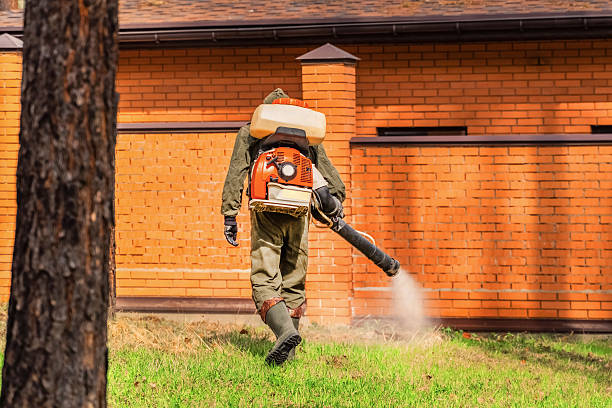 Trusted Cockroach Control service in Justin, TX - Nex Pest Control
